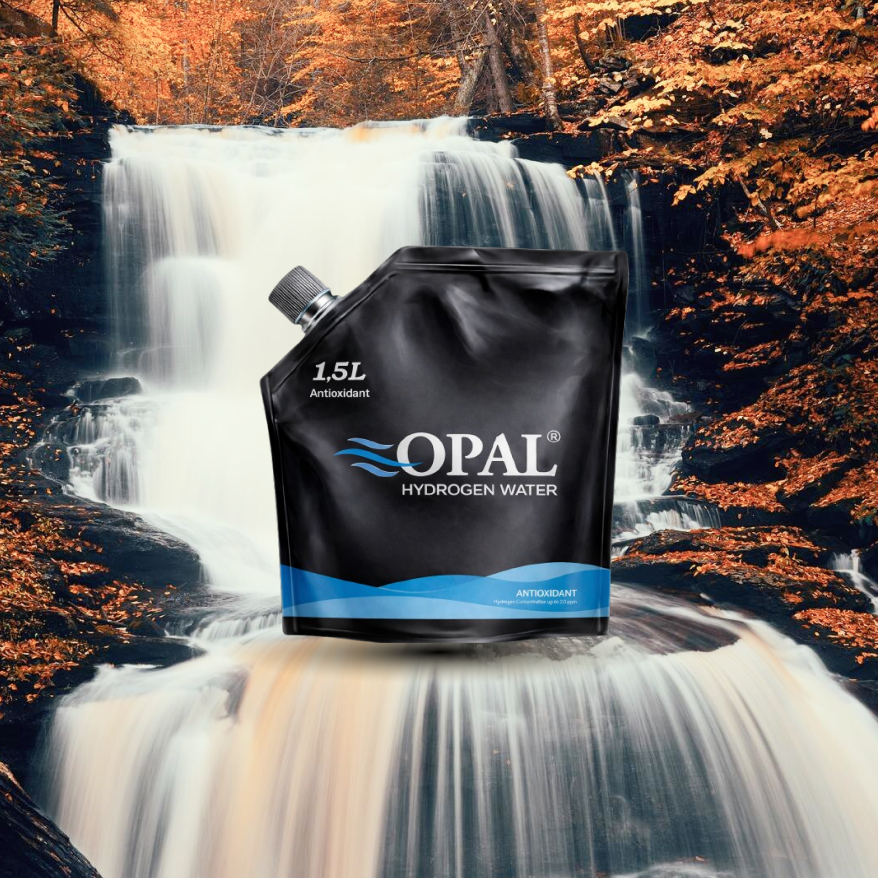 1.5L Hydrogen Water Bag Black